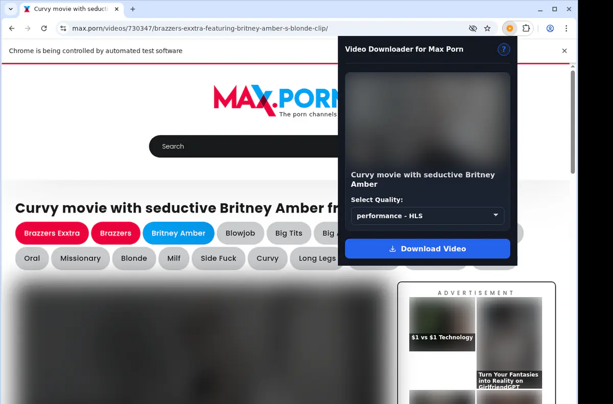 Maxporn Video Downloader browser extension screenshot 3